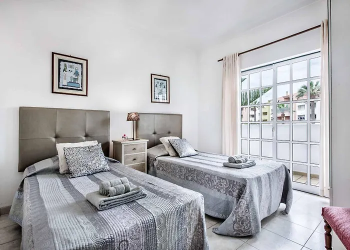 Torcato 알부페이라